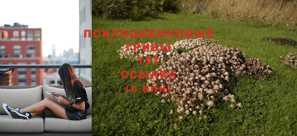 амфетамин Алексеевка