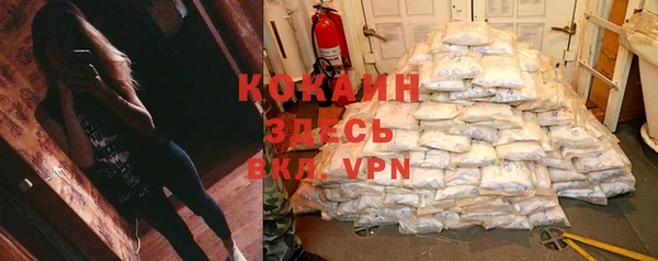 гидра Алексин