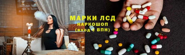 гидра Алексин