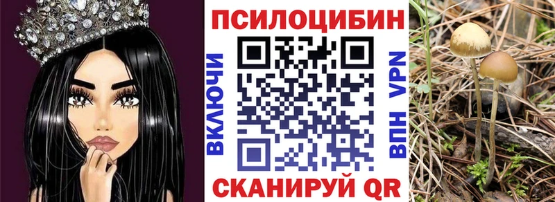 Купить где  Тосно  Псилоцибиновые грибы мухоморы 